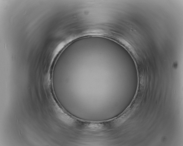 X0000093731466200710231142