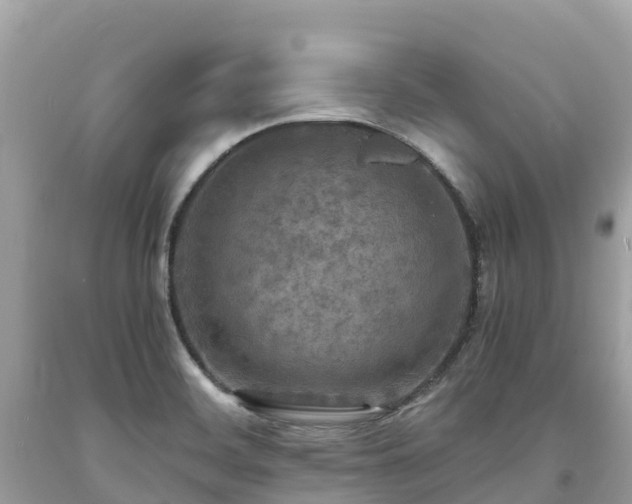 X0000093731468200710231142