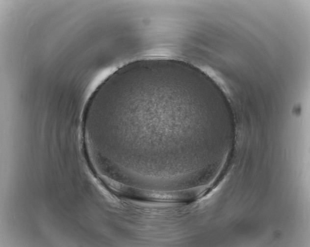 X0000093731469200710231142