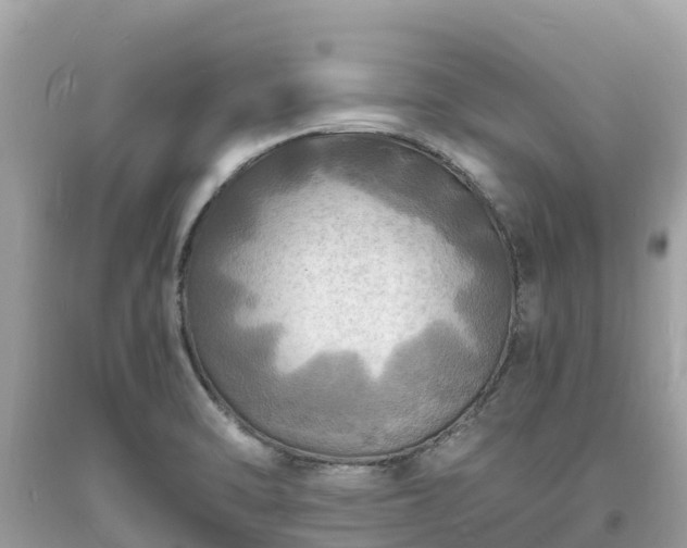 X0000093731470200710231142