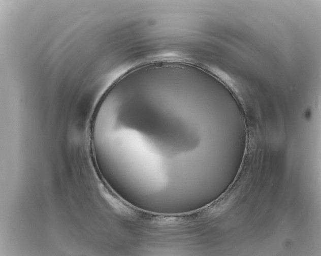 X0000093731474200710231142
