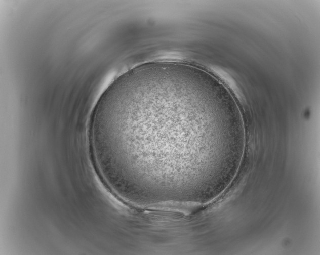 X0000093731475200710231142