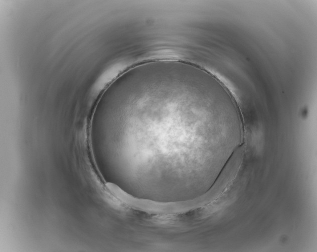X0000093731477200710231142