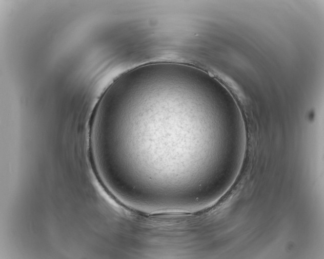 X0000093731479200710231142