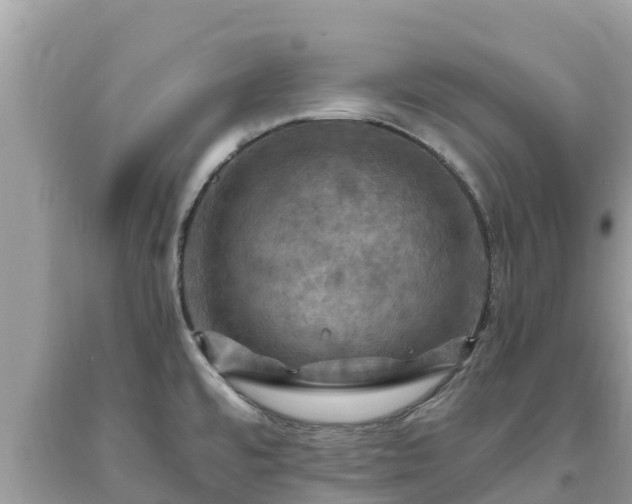 X0000093731480200710231142