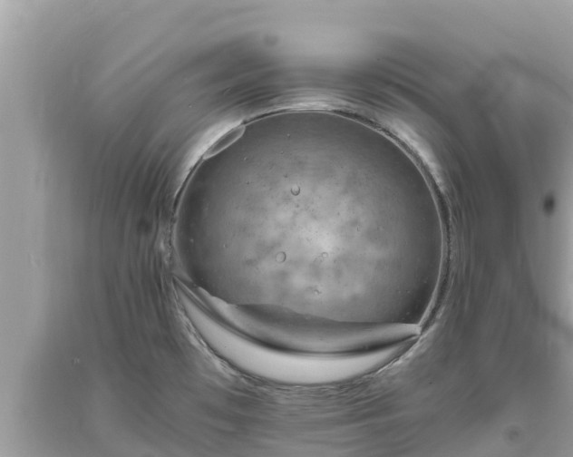 X0000093731481200710231142