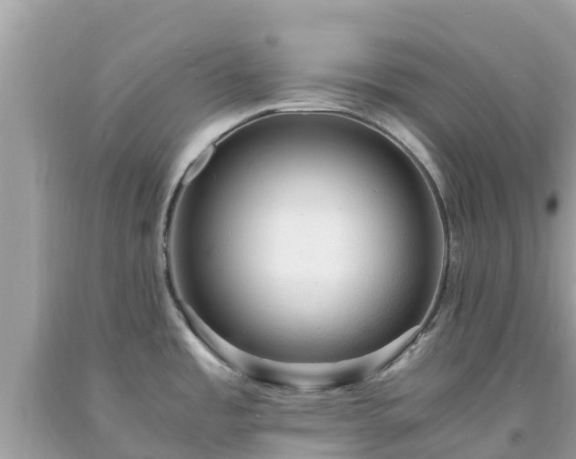 X0000093731485200710231142
