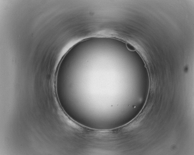 X0000093731486200710231142