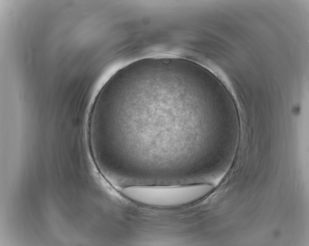X0000093731488200710231142