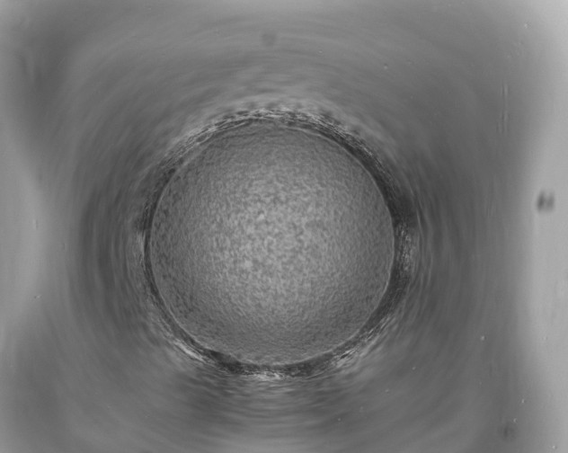 X0000093731489200710231141