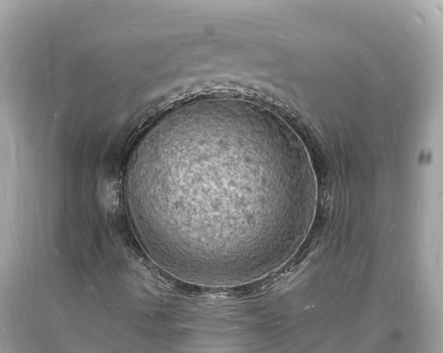 X0000093731490200710231141