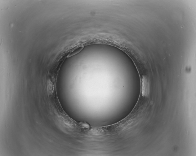 X0000093731491200710231141