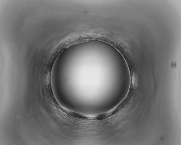 X0000093731492200710231141