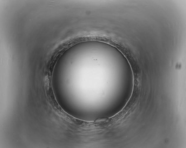 X0000093731493200710231141