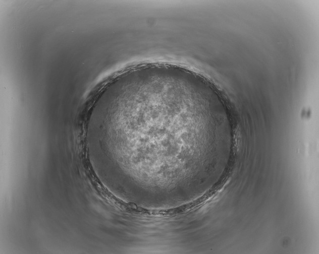X0000093731494200710231141