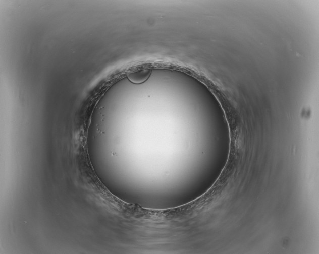 X0000093731495200710231141