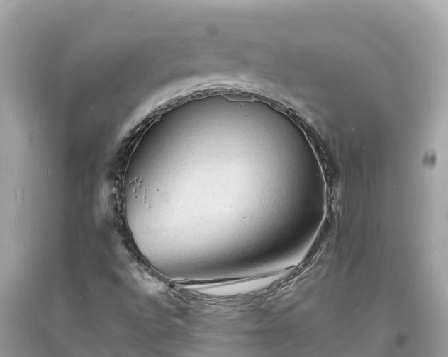 X0000093731496200710231141