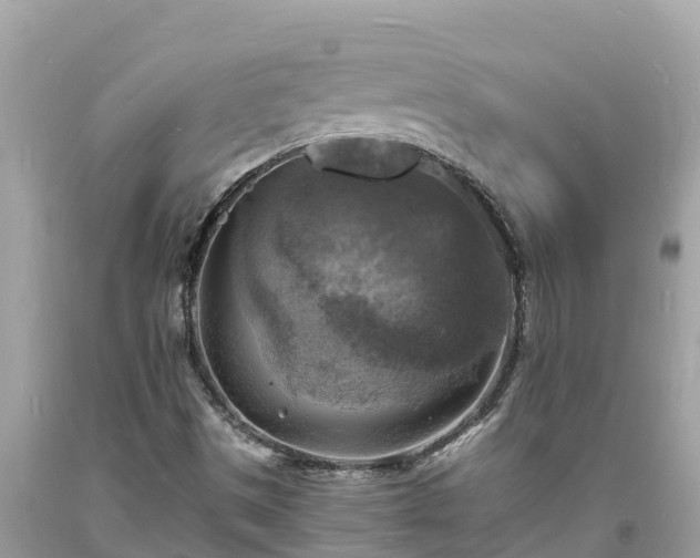 X0000093731497200710231141