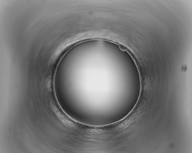 X0000093731499200710231141