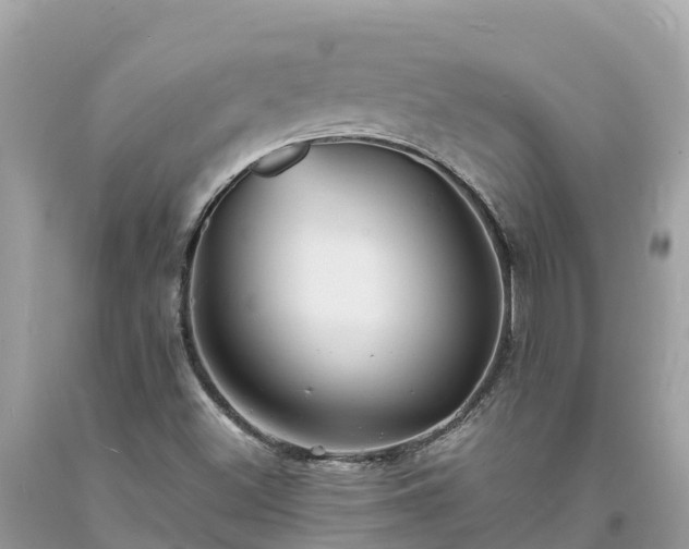 X0000093731500200710231141