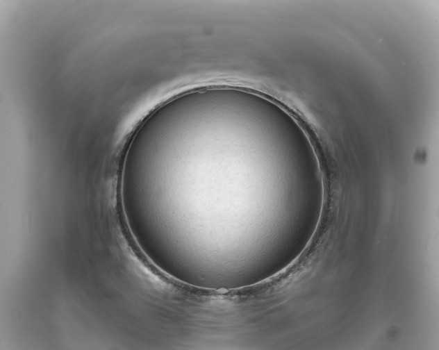 X0000093731504200710231141