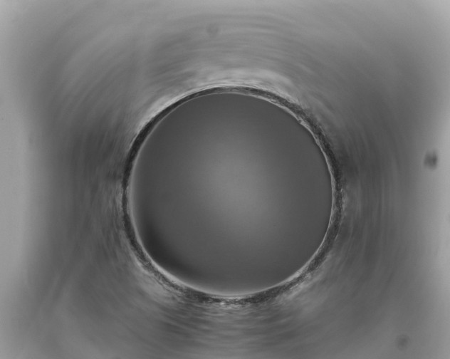 X0000093731505200710231141
