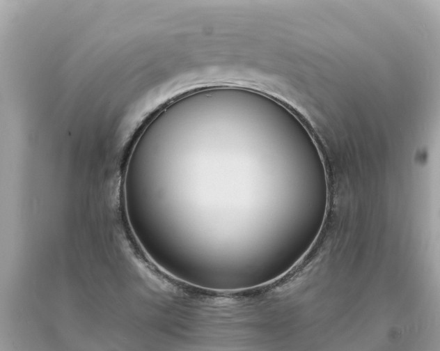 X0000093731507200710231141