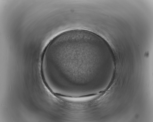 X0000093731508200710231141