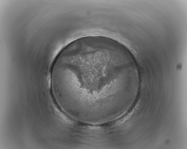 X0000093731509200710231141