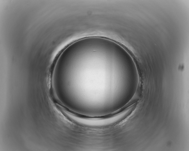 X0000093731510200710231141