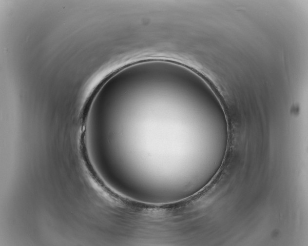 X0000093731511200710231141