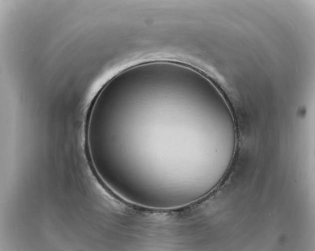 X0000093731512200710231141