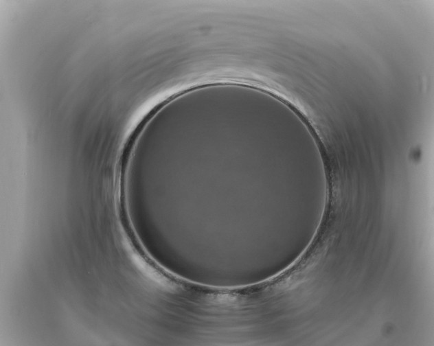X0000093731515200710231141