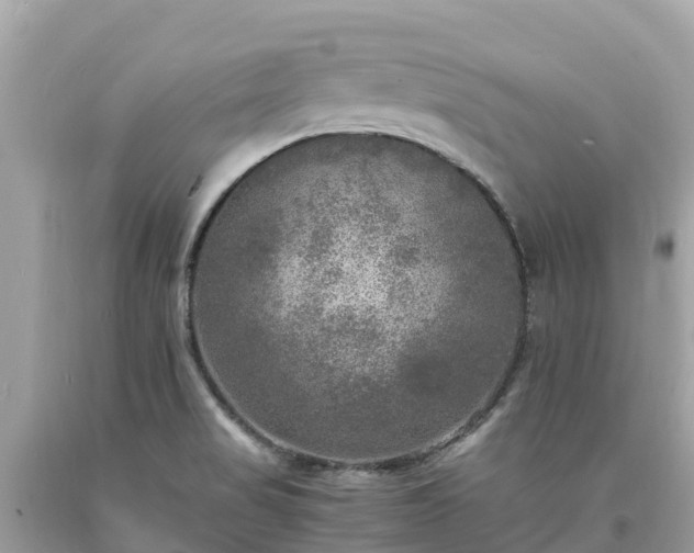 X0000093731517200710231141