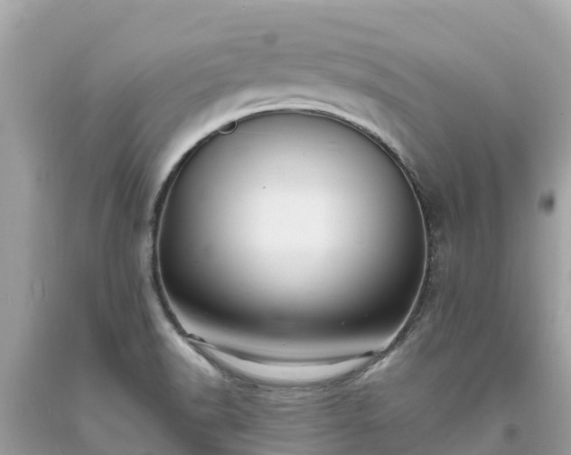 X0000093731518200710231141