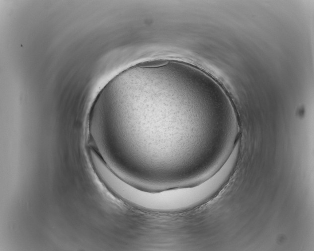 X0000093731520200710231141