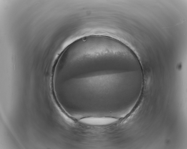 X0000093731525200710231141