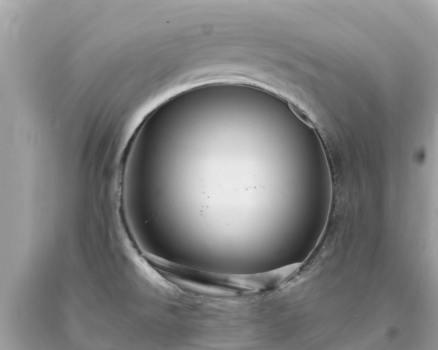 X0000093731526200710231141