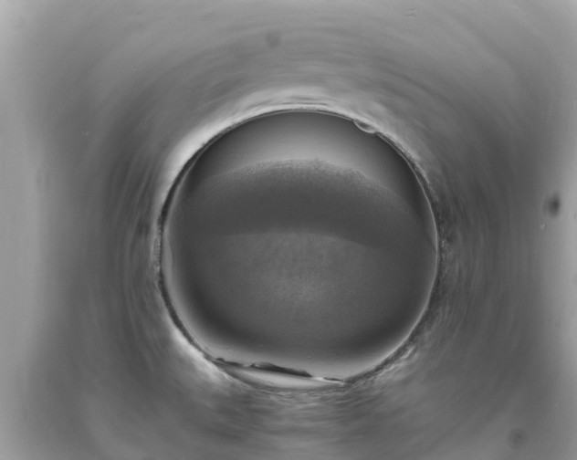 X0000093731527200710231141
