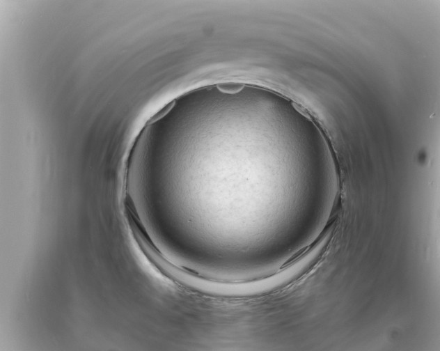 X0000093731528200710231141