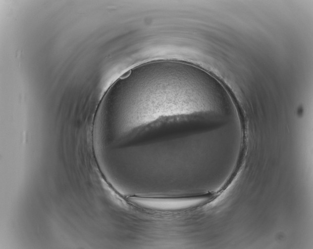 X0000093731529200710231141