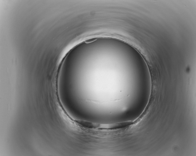X0000093731530200710231141