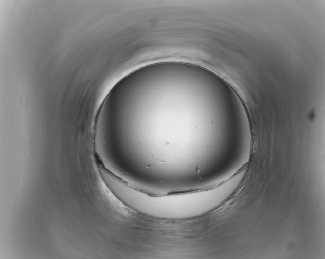 X0000093731532200710231142