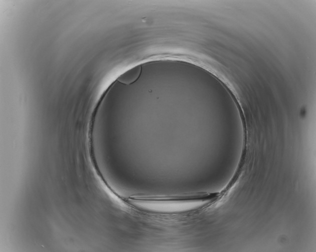 X0000093731533200710231142