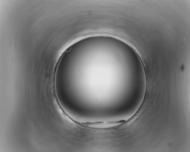X0000093731534200710231142