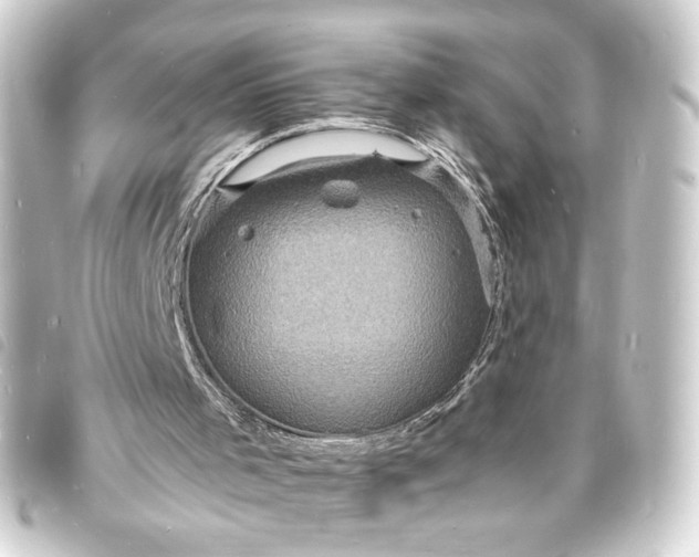 X0000093730001200710301053