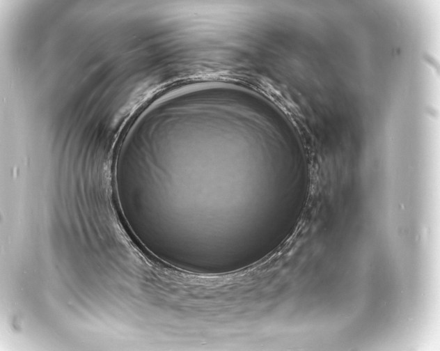 X0000093730002200710301053