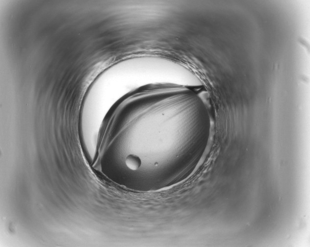 X0000093730003200710301053