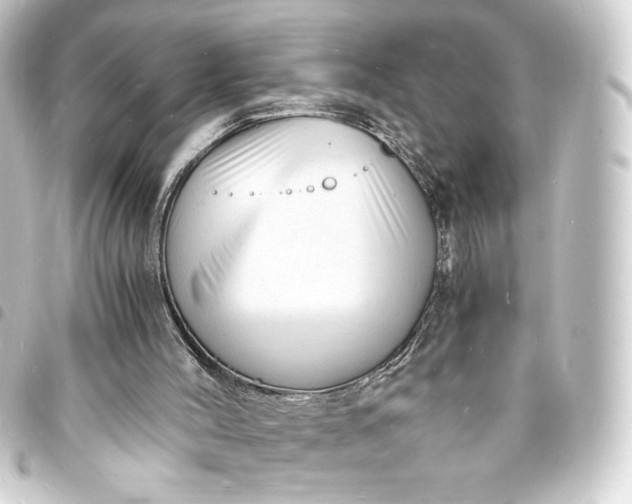 X0000093730004200710301053