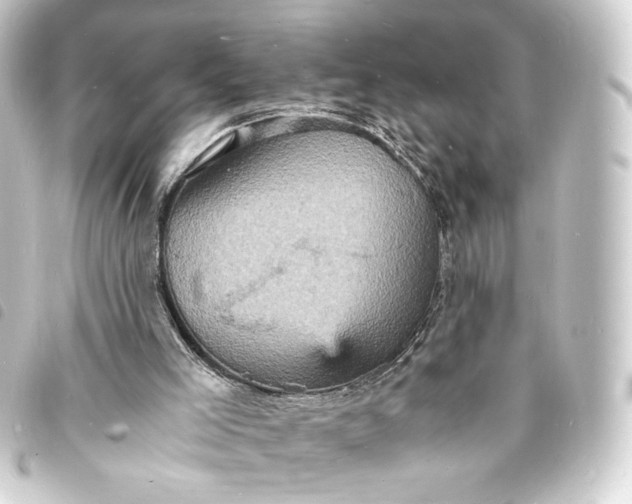 X0000093730005200710301053